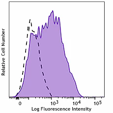 PE anti-human CD273 (B7-DC, PD-L2)
