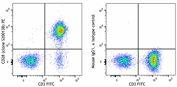 PE anti-human CD28