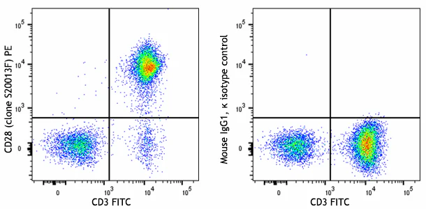 PE anti-human CD28