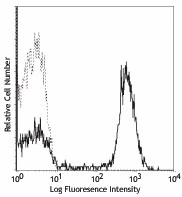 PE anti-human CD28