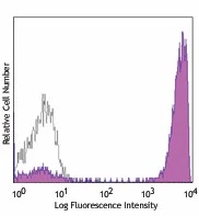 PE anti-human CD3