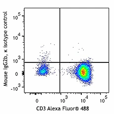 PE anti-human CD307c/FcRL3 - Image 2
