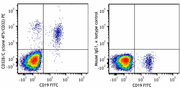 PE anti-human CD32B/C
