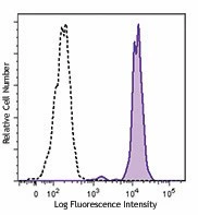 PE anti-human CD33