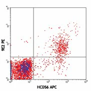 PE anti-human CD335 (NKp46)