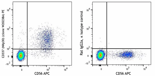 PE anti-human CD337 (NKp30)
