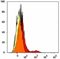 PE anti-human CD337 (NKp30)