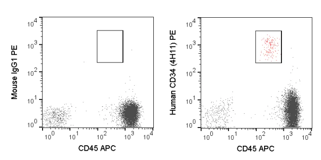 PE Anti-Human CD34 (4H11)