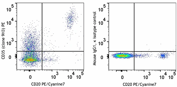 PE anti-human CD35