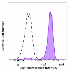 PE anti-human CD369 (Dectin-1/CLEC7A)