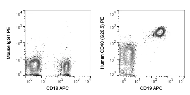 PE Anti-Human CD40 (G28.5)