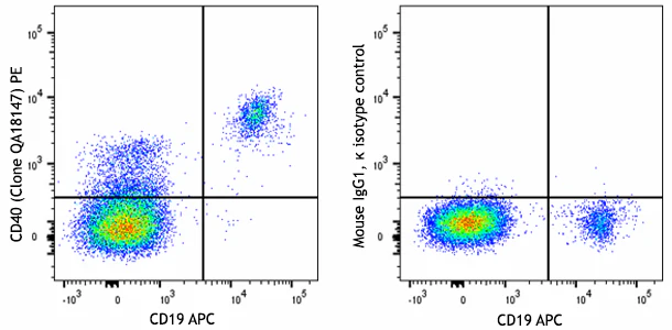 PE anti-human CD40 Recombinant