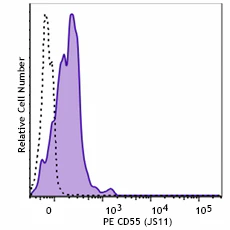 PE anti-human CD55 - Image 2