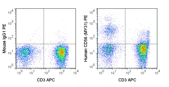 PE Anti-Human CD56 (NCAM) (MY31)