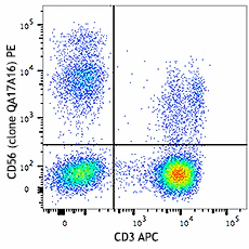 PE anti-human CD56 (NCAM) Recombinant