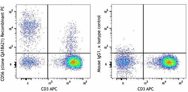 PE anti-human CD56 (NCAM) Recombinant