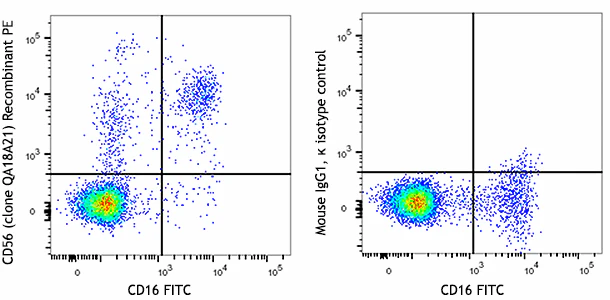 PE anti-human CD56 (NCAM) Recombinant - Image 2