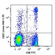 PE anti-human CD57