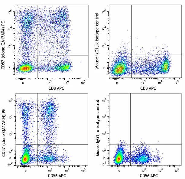 PE anti-human CD57 Recombinant