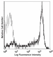 PE anti-human CD62L