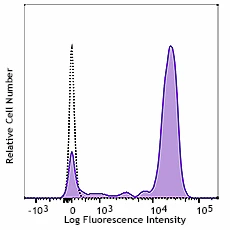 PE anti-human CD64
