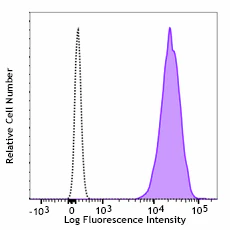 PE anti-human CD66b
