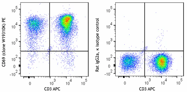 PE anti-human CD69
