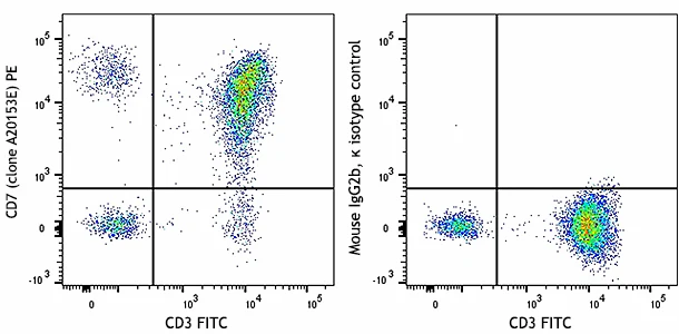 PE anti-human CD7