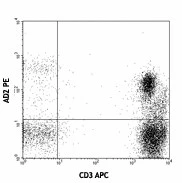 PE anti-human CD73 (Ecto-5'-nucleotidase)