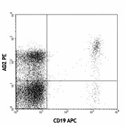 PE anti-human CD73 (Ecto-5'-nucleotidase) - Image 2