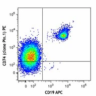 PE anti-human CD74 (Cytoplasmic)