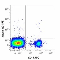PE anti-human CD74 (Cytoplasmic) - Image 2