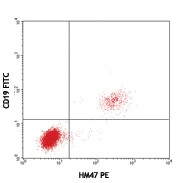 PE anti-human CD79a (Igα)