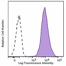 PE anti-human CD80