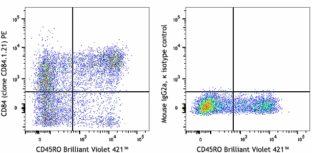 PE anti-human CD84