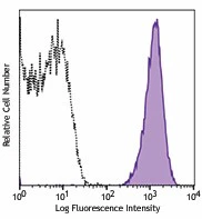 PE anti-human CLEC1B (CLEC2)