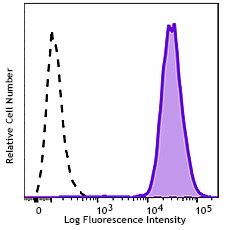 PE anti-human CTAG1B