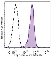 PE anti-human Dopamine Receptor D1 (DRD1)