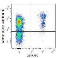 PE anti-human GPR183 (EBI2)