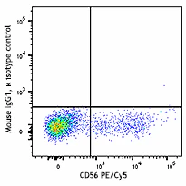 PE anti-human GPR56 - Image 2