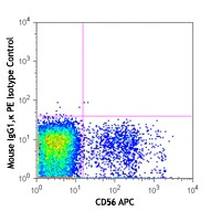 PE anti-human GPR56 - Image 2