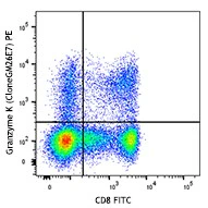 PE anti-human Granzyme K