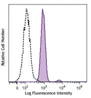 PE anti-human HIF1α - Image 2