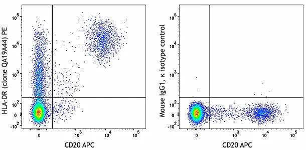 PE anti-human HLA-DR Recombinant