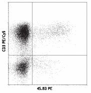 PE anti-human IFN-γ