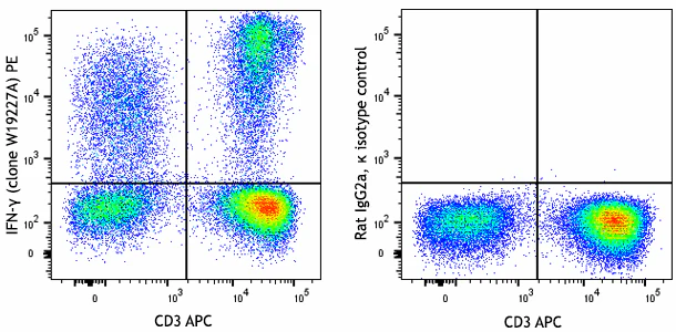 PE anti-human IFN-γ