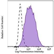 PE anti-human IgG Fc Recombinant
