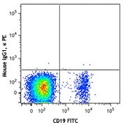 PE anti-human IgM - Image 2