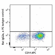 PE anti-human IL-10 - Image 2
