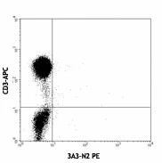 PE anti-human IL-21 - Image 2